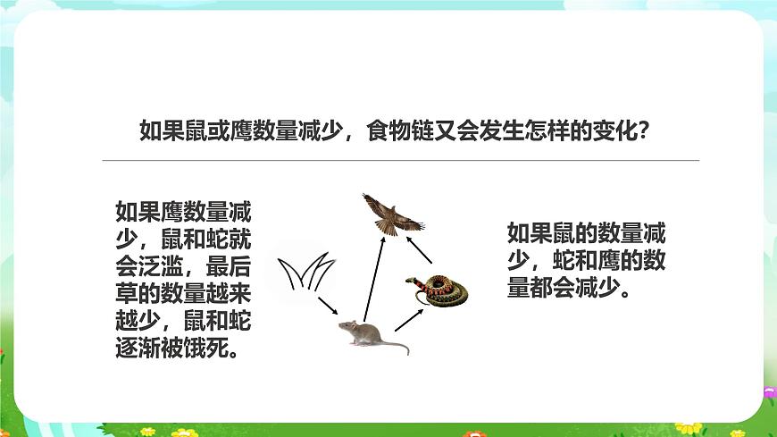 粵教粵科版（2019）科學六下 3.17《食物網(wǎng)中的生物》課件第8頁
