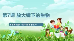 粤教粤科版（2019）科学五年级下册 第7课《放大镜下的生物》课件+教案