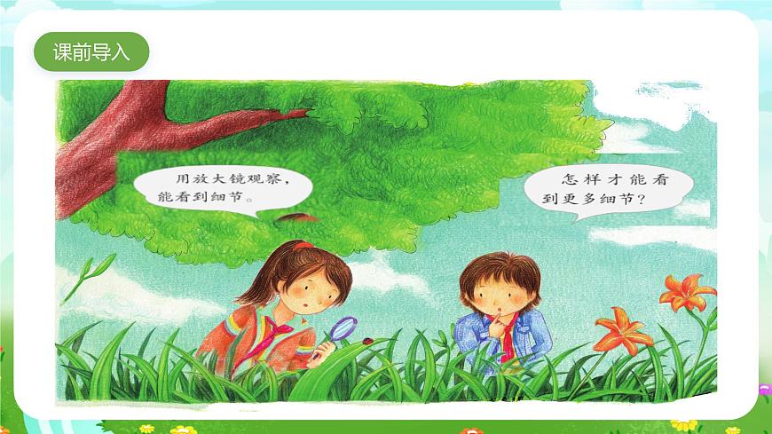 粵教粵科版（2019）科學(xué)五年級(jí)下冊(cè) 第7課《放大鏡下的生物》課件第2頁(yè)