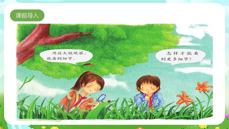 粤教粤科版(2019)科学五年级下册 第7课《放大镜下的生物》课件第2页