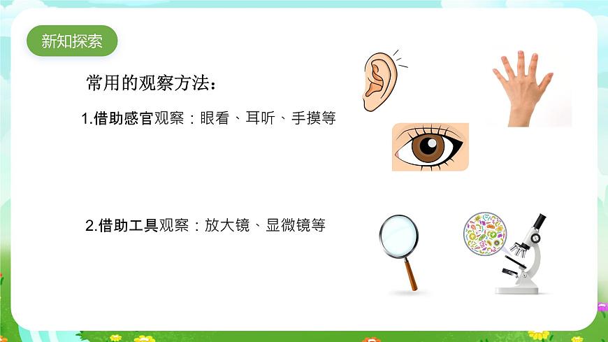 粵教粵科版（2019）科學(xué)五年級(jí)下冊(cè) 第7課《放大鏡下的生物》課件第3頁(yè)