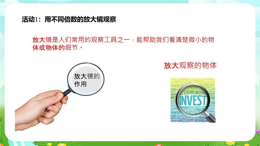 粵教粵科版（2019）科學(xué)五年級(jí)下冊(cè) 第7課《放大鏡下的生物》課件第4頁(yè)