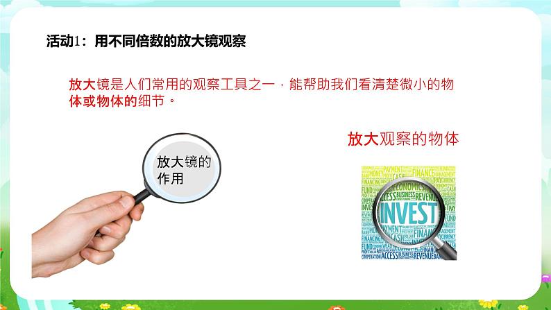 粤教粤科版(2019)科学五年级下册 第7课《放大镜下的生物》课件第4页