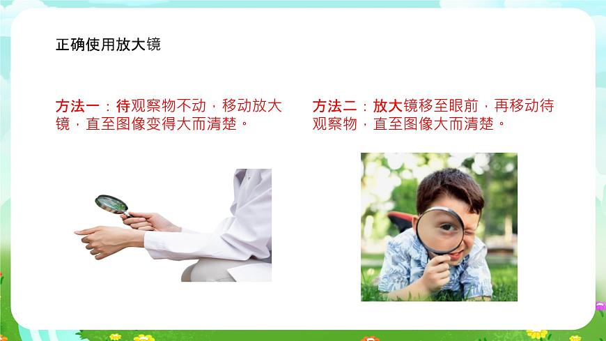 粵教粵科版（2019）科學(xué)五年級(jí)下冊(cè) 第7課《放大鏡下的生物》課件第5頁(yè)