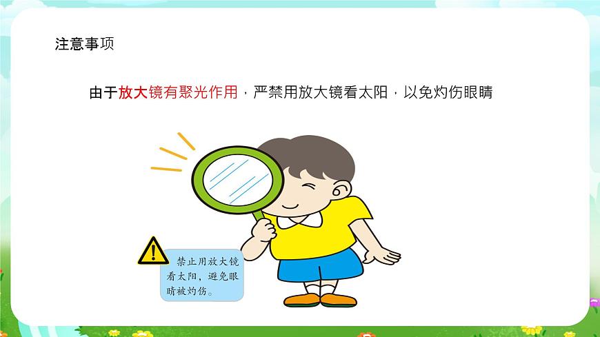 粵教粵科版（2019）科學(xué)五年級(jí)下冊(cè) 第7課《放大鏡下的生物》課件第6頁(yè)