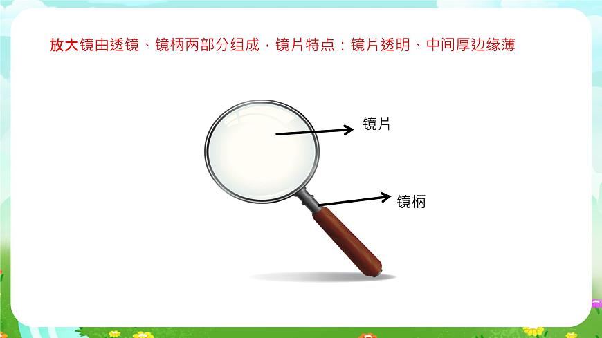粵教粵科版（2019）科學(xué)五年級(jí)下冊(cè) 第7課《放大鏡下的生物》課件第8頁(yè)