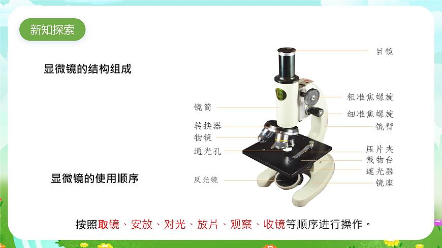 粵教粵科版（2019）科學(xué)五年級(jí)下冊(cè) 第9課《用顯微鏡來(lái)觀察》課件第3頁(yè)