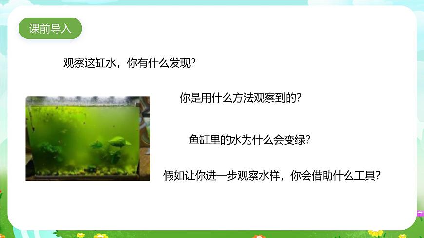 粵教粵科版（2019）科學(xué)五年級下冊 第10課《微小的生命世界》課件第2頁