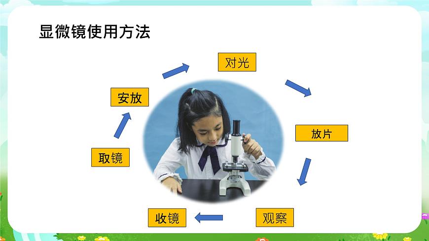 粵教粵科版（2019）科學(xué)五年級下冊 第10課《微小的生命世界》課件第4頁