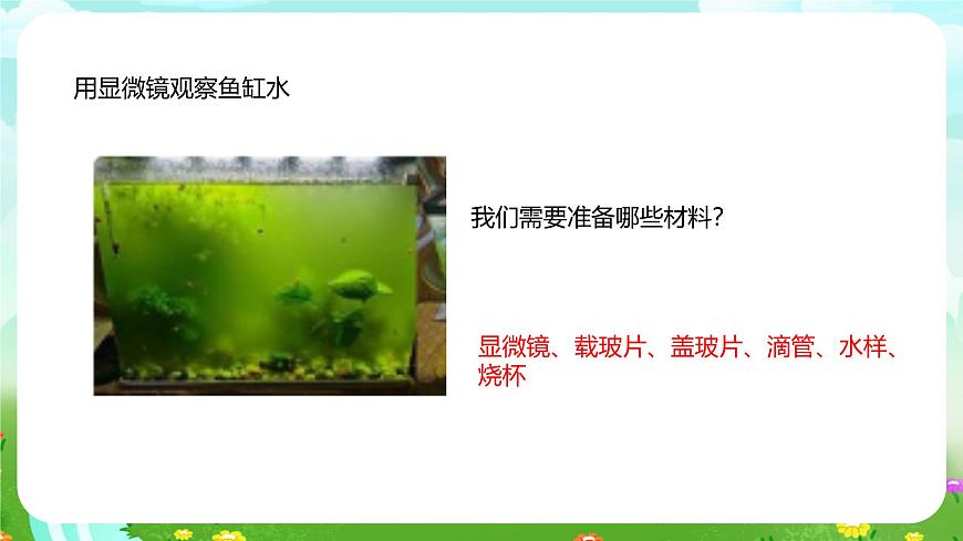 粵教粵科版（2019）科學(xué)五年級下冊 第10課《微小的生命世界》課件第6頁