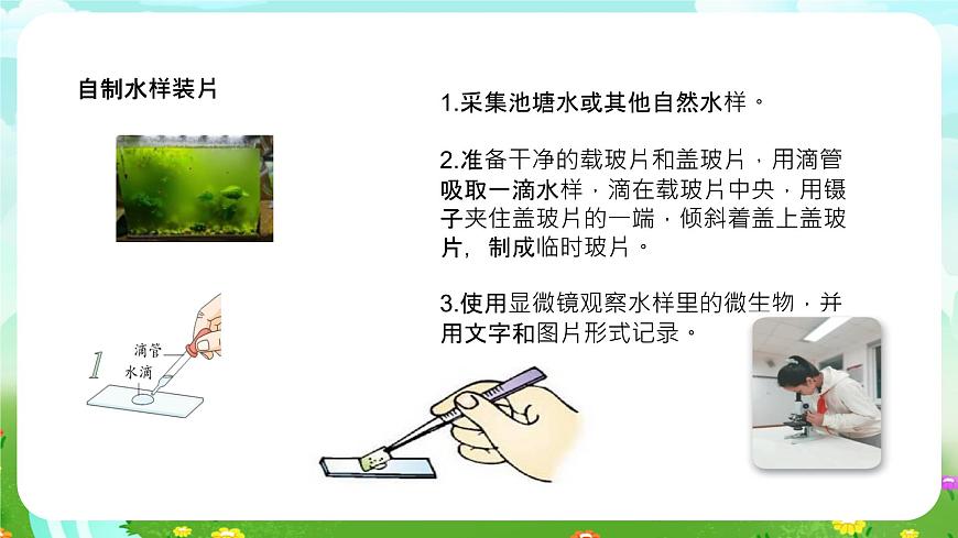粵教粵科版（2019）科學(xué)五年級下冊 第10課《微小的生命世界》課件第7頁