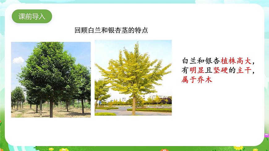粵教粵科版（2019）科學(xué)四年級(jí)下冊(cè) 第2課《月季和茉莉》課件第2頁