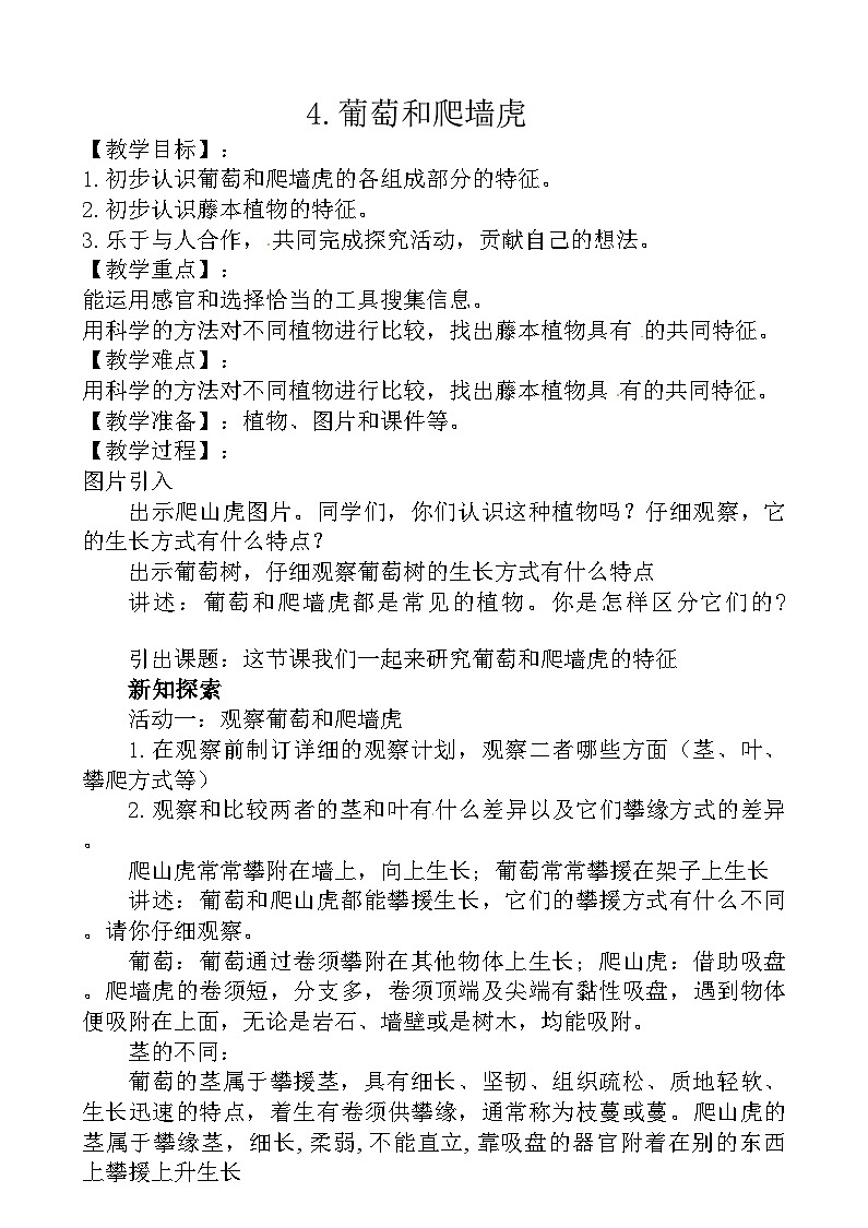 粵教粵科版（2019）科學四年級下冊 第4課《葡萄和爬山虎》教案第1頁