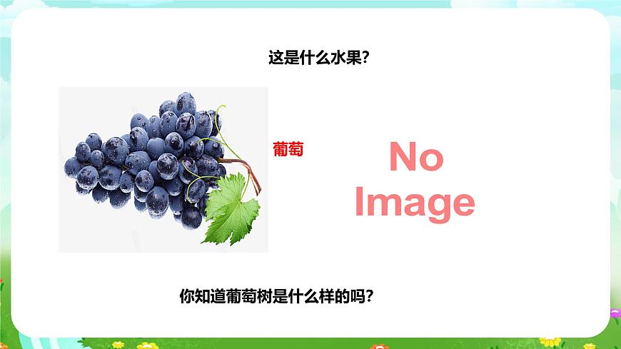 粵教粵科版(2019)科學四年級下冊 第4課《葡萄和爬山虎》課件第3頁