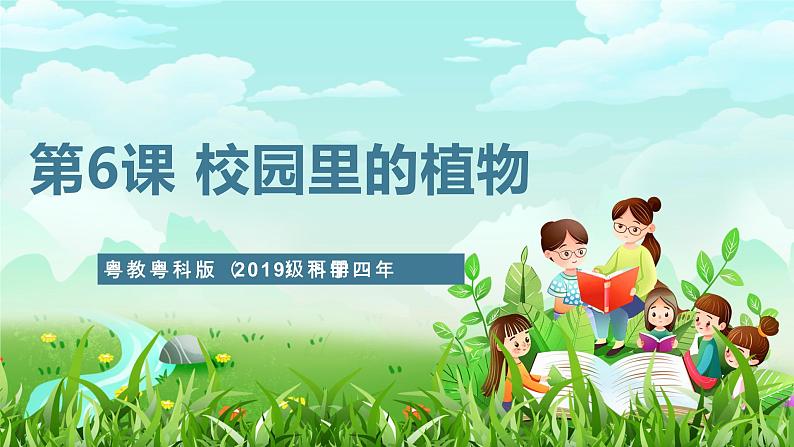 粤教粤科版(2019)科学四年级下册 第6课《校园里的植物》课件第1页
