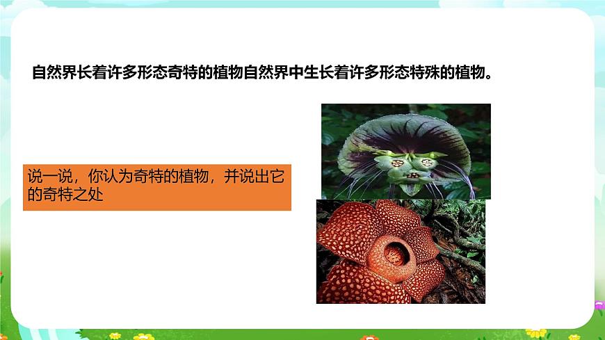 粵教粵科版（2019）科學(xué)四年級(jí)下冊(cè) 第7課《網(wǎng)上學(xué)習(xí)：有趣的植物》課件第4頁(yè)