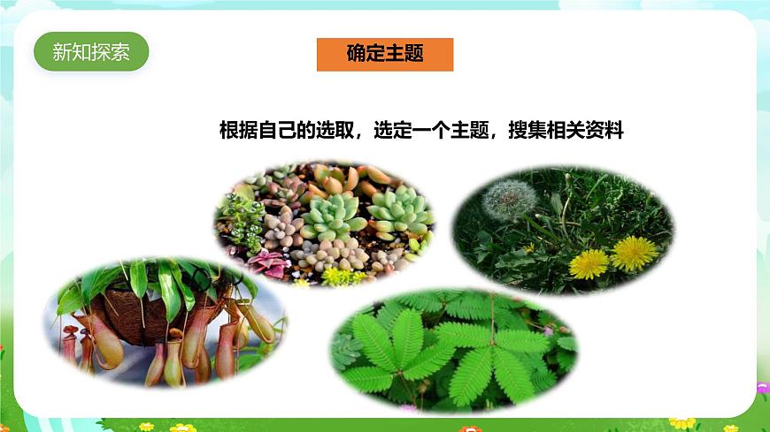 粵教粵科版（2019）科學(xué)四年級(jí)下冊(cè) 第7課《網(wǎng)上學(xué)習(xí)：有趣的植物》課件第5頁(yè)