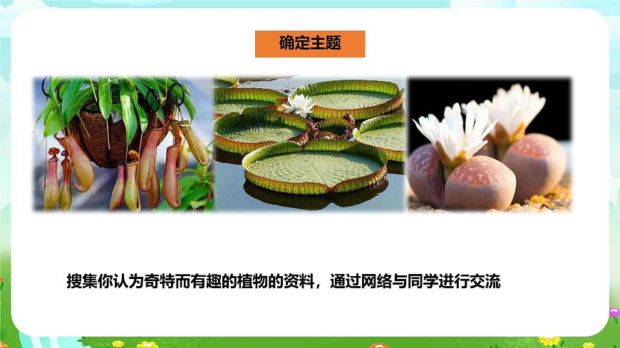 粵教粵科版（2019）科學(xué)四年級(jí)下冊(cè) 第7課《網(wǎng)上學(xué)習(xí)：有趣的植物》課件第7頁(yè)