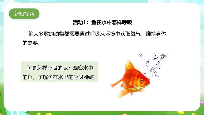 粵教粵科版（2019）科學(xué)四年級(jí)下冊(cè) 第8課《動(dòng)物需要空氣》課件第4頁(yè)