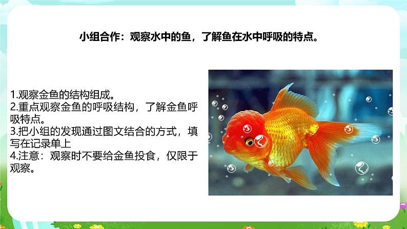 粤教粤科版(2019)科学四年级下册 第8课《动物需要空气》课件第5页
