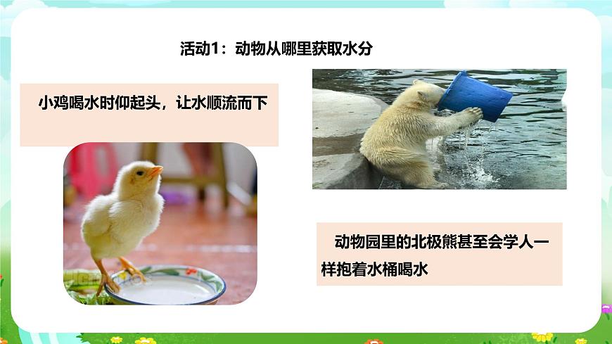 粵教粵科版（2019）科學(xué)四年級(jí)下冊(cè) 第9課《動(dòng)物需要水分》課件第8頁(yè)
