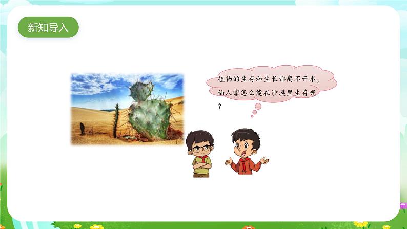 大象版(2017)科学四下 1.2《奇妙的植物》课件第2页