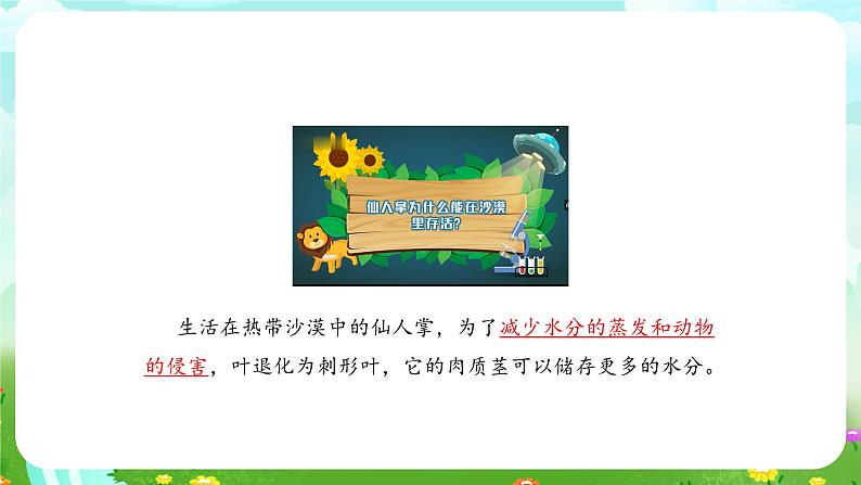 大象版(2017)科学四下 1.2《奇妙的植物》课件第6页