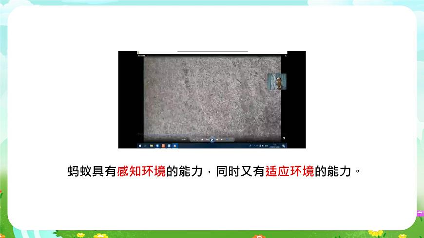 大象版（2017）科學(xué)四下 1.4《動物的適應(yīng)能力》課件第6頁