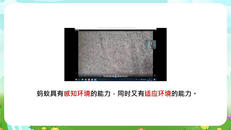 大象版(2017)科学四下 1.4《动物的适应能力》课件第6页