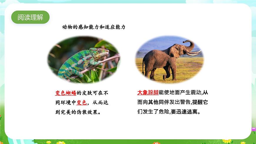 大象版（2017）科學(xué)四下 1.4《動物的適應(yīng)能力》課件第7頁