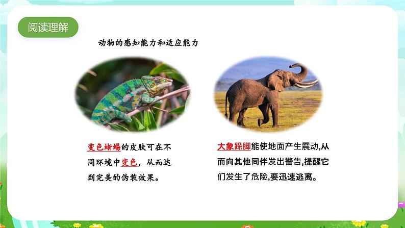 大象版(2017)科学四下 1.4《动物的适应能力》课件第7页