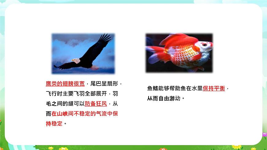 大象版（2017）科學(xué)四下 1.4《動物的適應(yīng)能力》課件第8頁