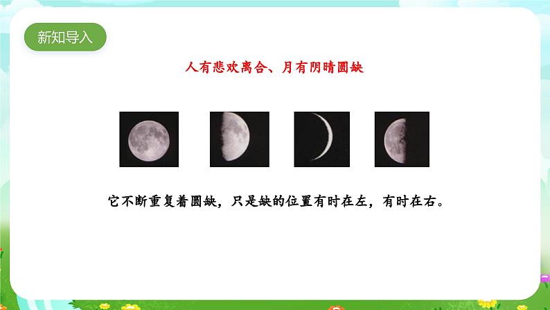 大象版(2017)科学四下 3.5《月有阴晴圆缺》课件第2页