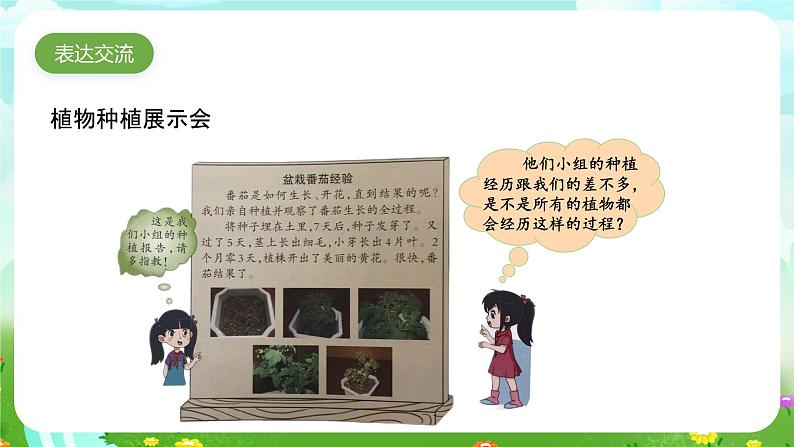 大象版(2017)科学三下 3.6《植物种植展示会》课件第3页