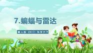 小学冀人版（2024）第7课 蝙蝠与雷达评优课ppt课件