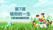 科学四年级下册7 植物的一生试讲课课件ppt