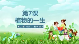 冀人版（2017）科学四下 第7课《植物的一生》课件+教案