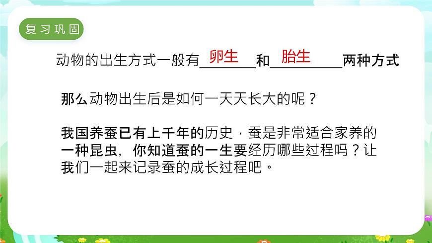 冀人版（2017）科學(xué)四下 第9課《蠶的一生》課件第2頁(yè)