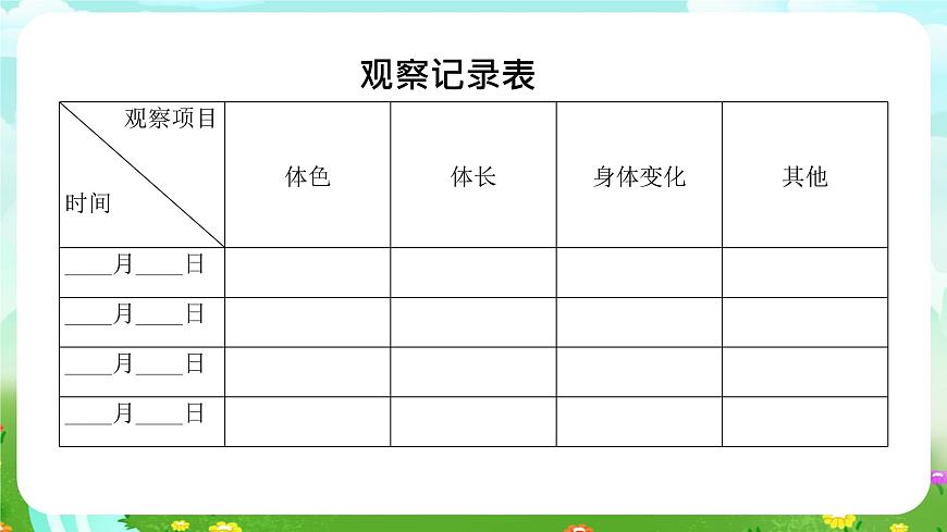 冀人版（2017）科學(xué)四下 第9課《蠶的一生》課件第4頁(yè)