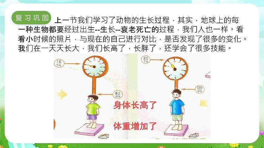 冀人版（2017）科學(xué)四下 第10課《我在長大》課件第2頁