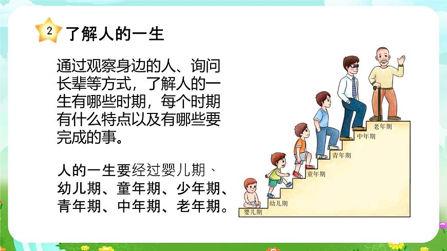 冀人版（2017）科學(xué)四下 第10課《我在長大》課件第8頁