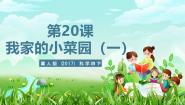 小学科学冀人版（2024）四年级下册18 我家的小菜园（一）优质ppt课件
