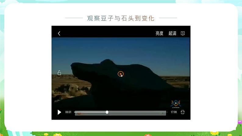 冀人版(2017)科学三下 第1课《生物与非生物》课件第5页