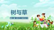 科学三年级下册2 树与草优秀ppt课件