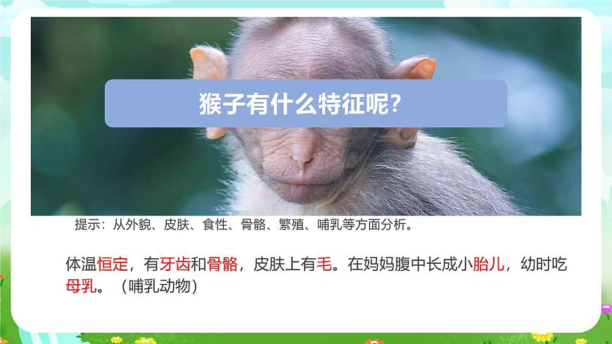 冀人版（2017）科學(xué)三下 第4課《種類繁多的動物》課件第8頁