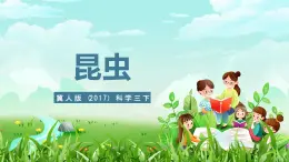 冀人版（2017）科学三下 第5课《昆虫》课件+教案+素材