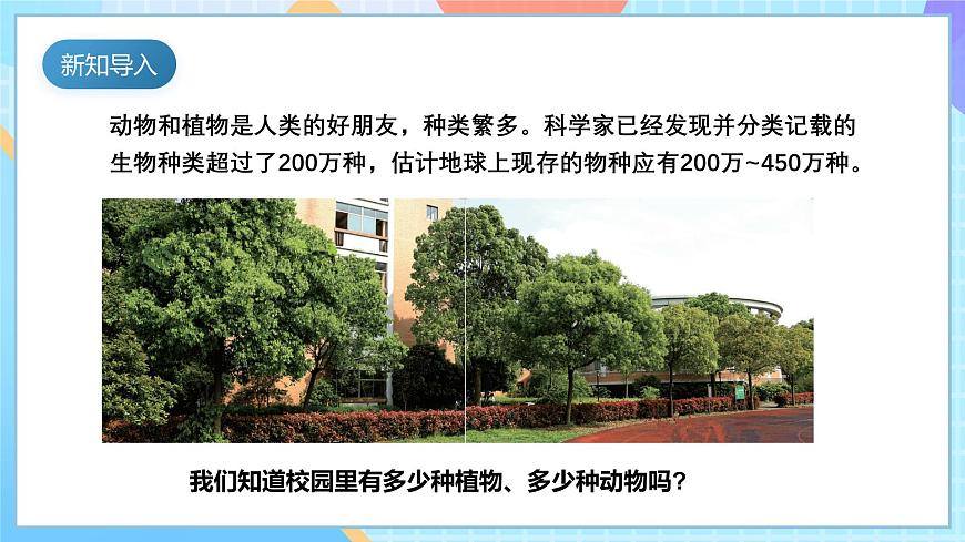 【核心素養(yǎng)】教科版科學六年級下冊 2.1《校園生物大搜索》課件第6頁