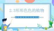 教科版（2024）六年级下册3.形形色色的植物一等奖ppt课件