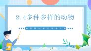小学科学教科版（2024）六年级下册4.多种多样的动物试讲课ppt课件