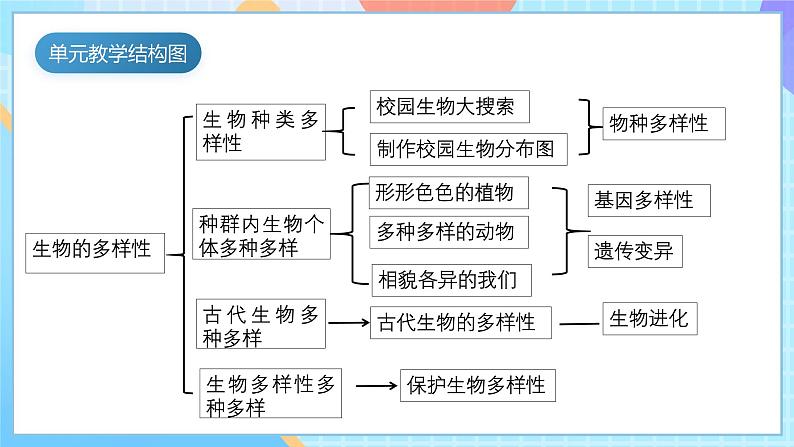 【核心素养】教科版科学六年级下册 2.5《相貌各异的我们》课件第4页